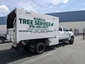 Hamn Tree Service vehicle wrap by capitol barricade northern ca