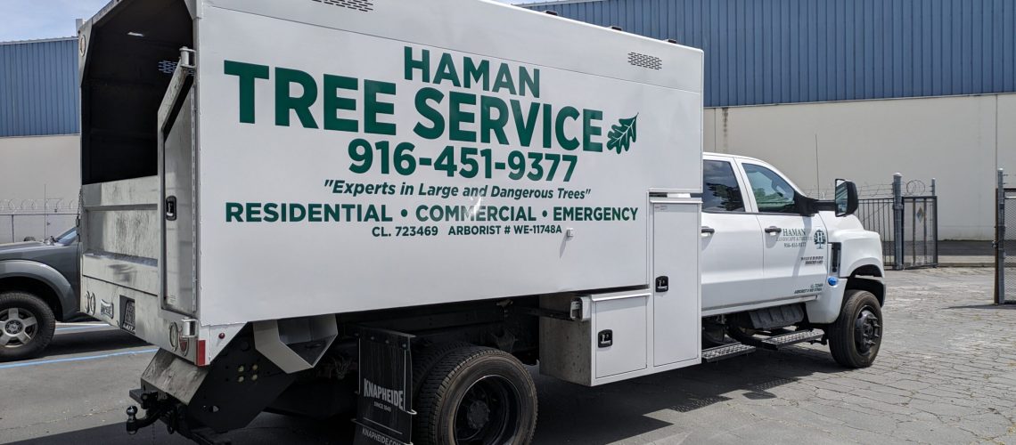 Hamn Tree Service vehicle wrap by capitol barricade northern ca