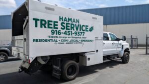 pro vehicle graphics full wrap truck